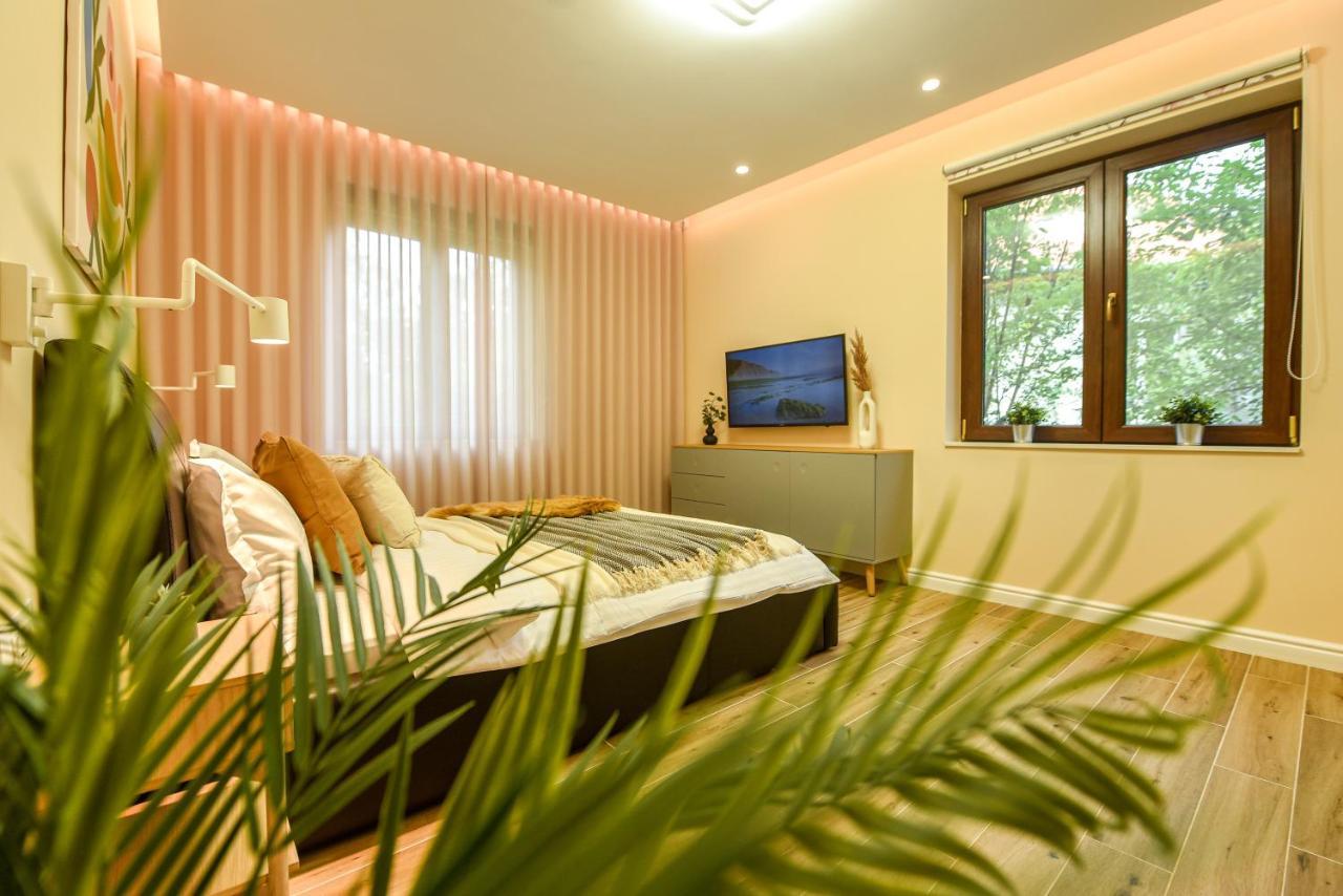 Green Leafy Brasov - Ideal 2 Bedroom Apartment Exteriér fotografie
