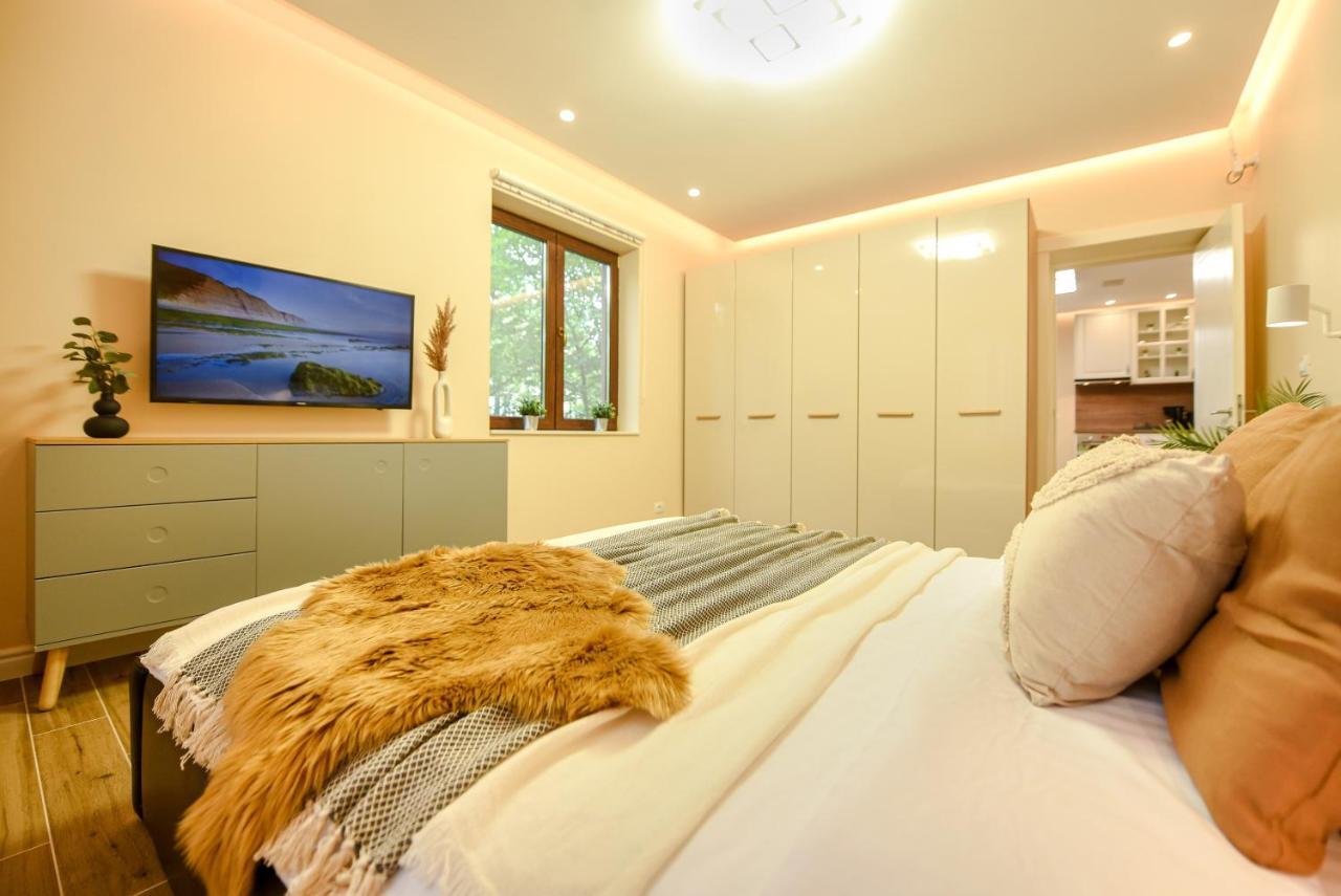 Green Leafy Brasov - Ideal 2 Bedroom Apartment Exteriér fotografie