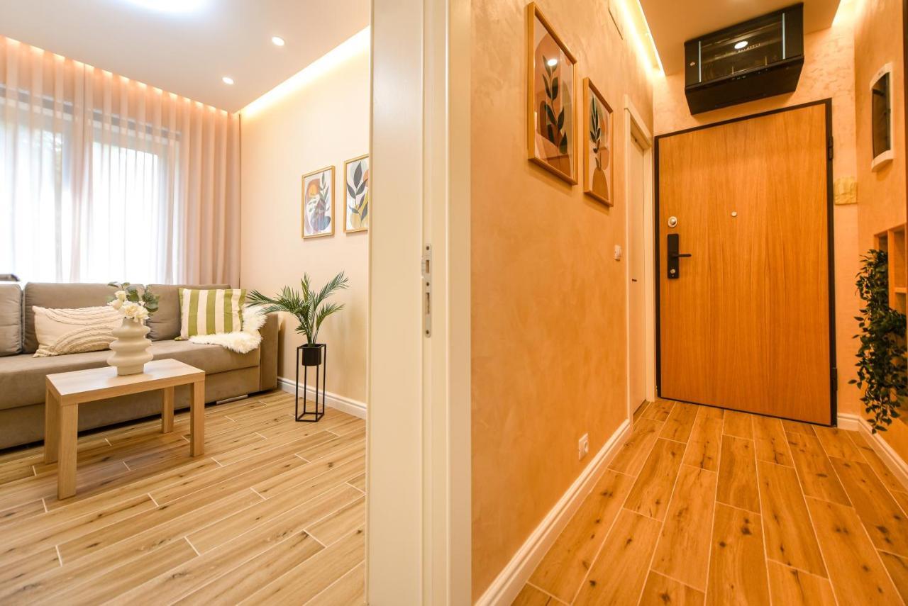 Green Leafy Brasov - Ideal 2 Bedroom Apartment Exteriér fotografie