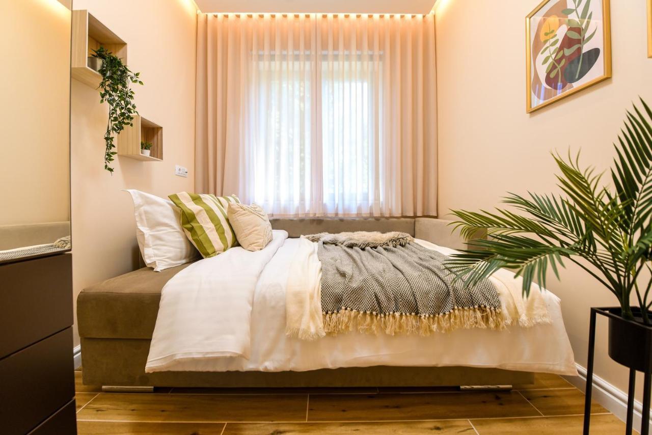 Green Leafy Brasov - Ideal 2 Bedroom Apartment Exteriér fotografie