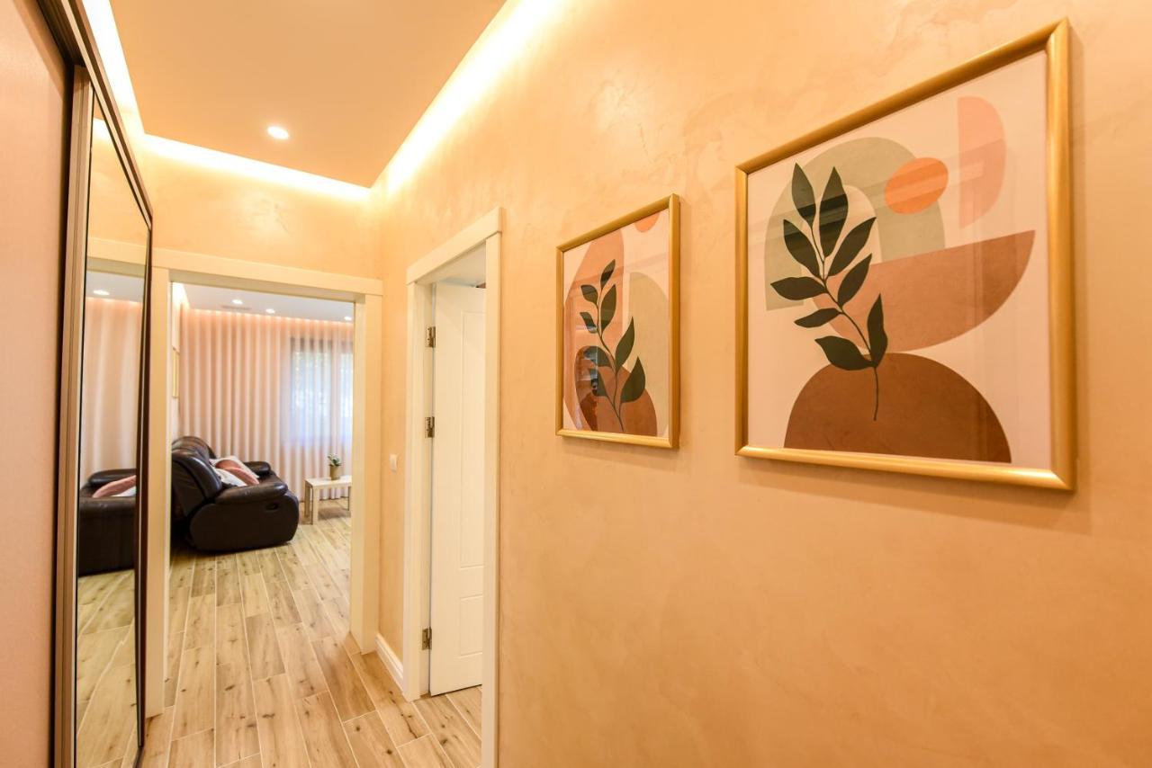 Green Leafy Brasov - Ideal 2 Bedroom Apartment Exteriér fotografie