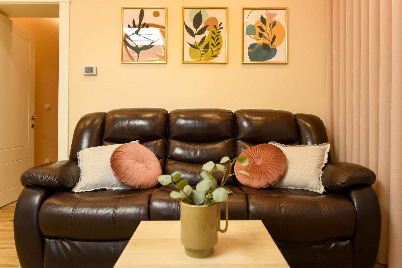 Green Leafy Brasov - Ideal 2 Bedroom Apartment Exteriér fotografie